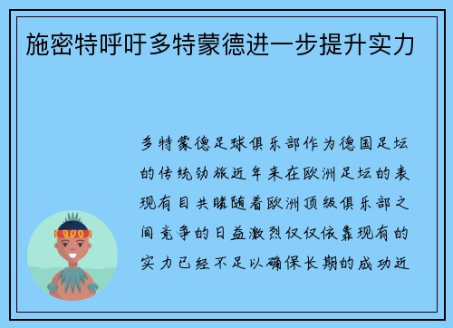 施密特呼吁多特蒙德进一步提升实力